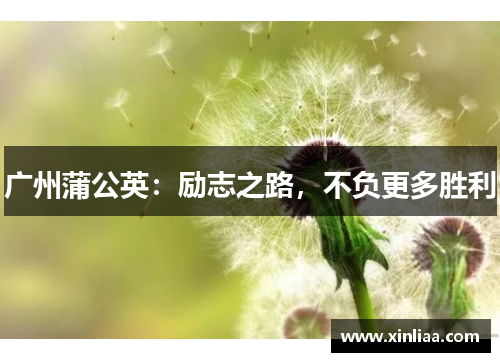 广州蒲公英：励志之路，不负更多胜利